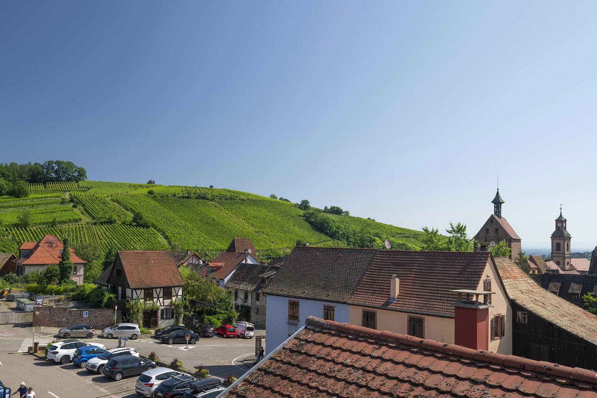 شقة Riesling - Vue Imprenable Sur Le Vignoble - Renove Recemment - Parking Gratuit ريكفيهر المظهر الخارجي الصورة
